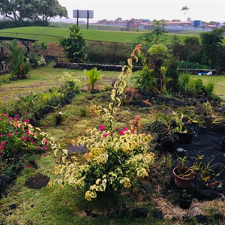 Private Room on Serene Property in Hilo in Hilo, South Hilo