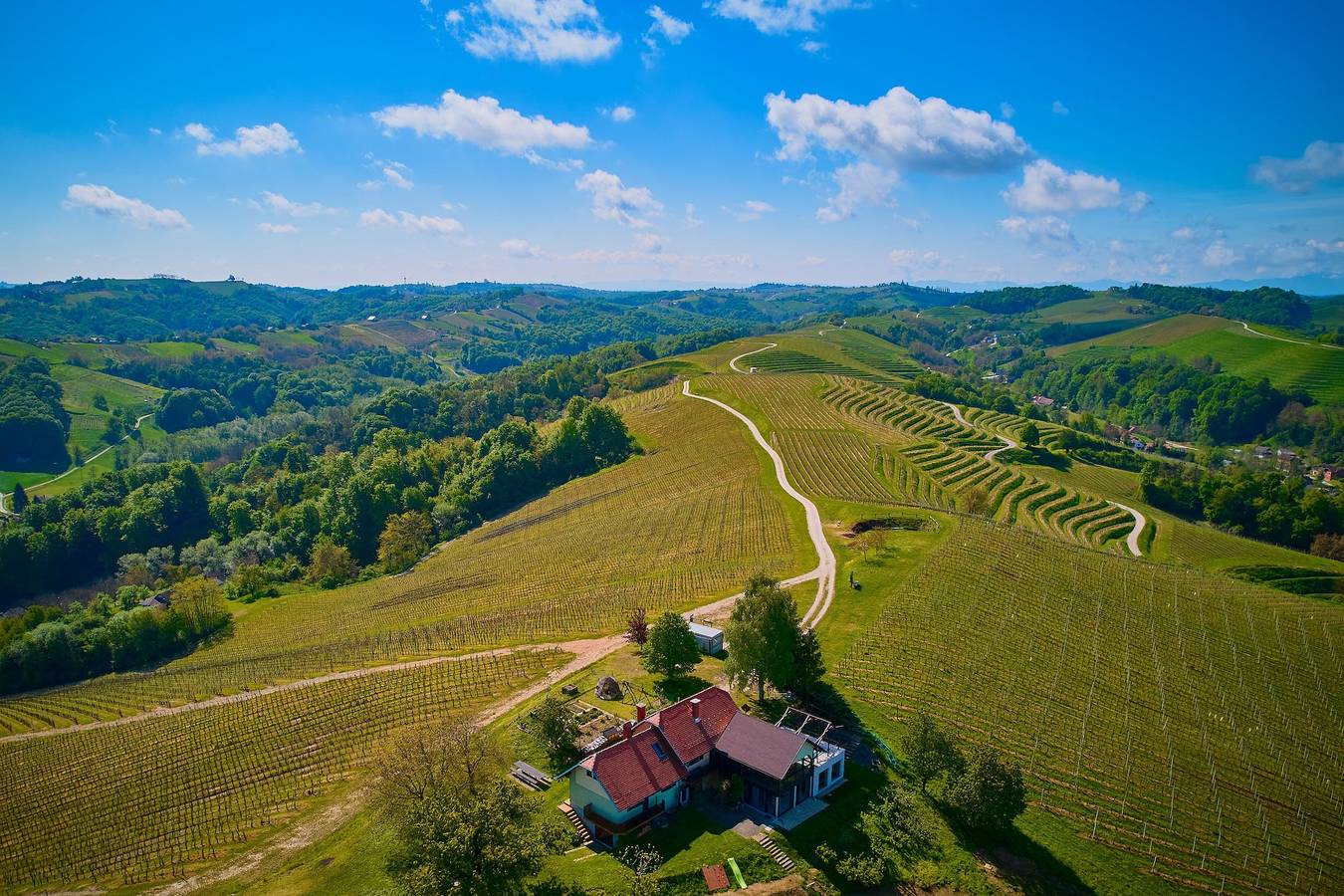 Wellness Vineyard Cottage Marjan in Slowenien