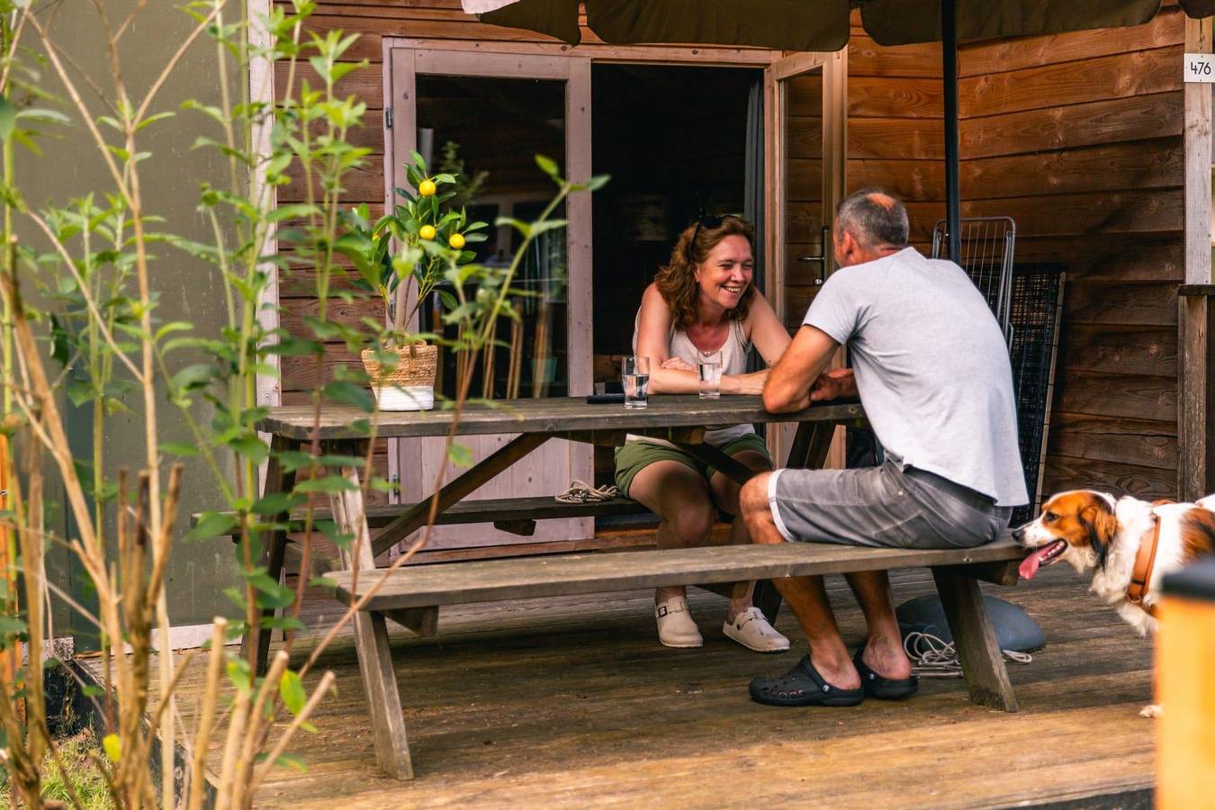 Europarcs Ruinen — Dog Lodge 6 in Ruinen, Nationalpark Dwingelderveld