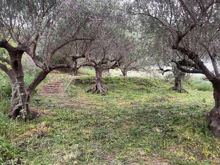 Camping für 2 Personen, mit Garten und Ausblick auf Kreta - 2