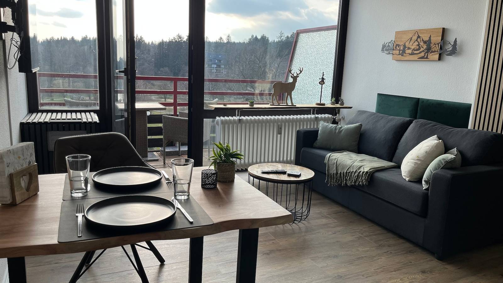 Ganze Ferienwohnung, Ferienwohnung Panoramablick Hahnenklee in Hahnenklee, Goslar