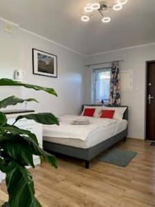 Double Room in Uniejów, Województwo łódzkie