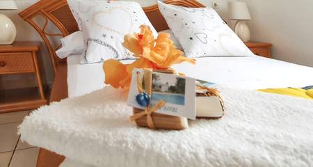 Bungalow für 2 Personen in Capesterre-Belle-Eau, Französische Antillen, Bild 1