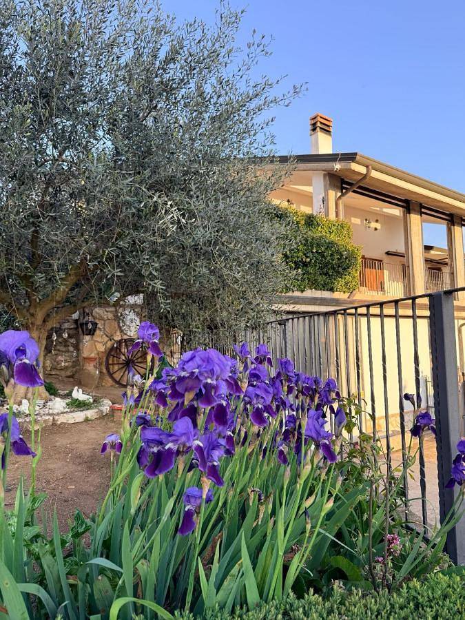 Ferienwohnung für 4 Personen, mit Garten und Ausblick, mit Haustier - 1