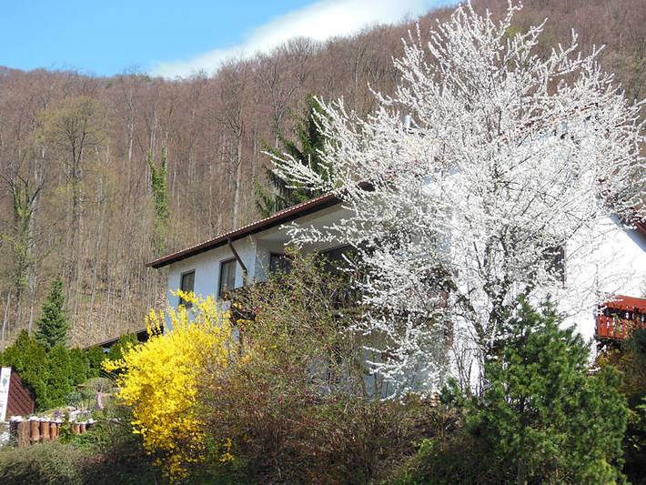 Ganze Ferienwohnung, Haus Kayser - Ferienwohnung 60qm, 1 Schlafzimmer, max. 2 Personen in Bad Urach, Albsteig Etappe 9