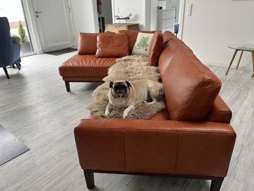 Ferienwohnung für 6 Personen in Steinhude, Steinhuder Meer, Bild 4