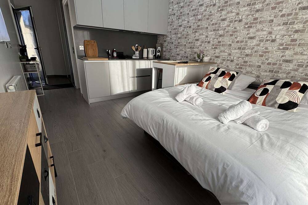 Ground floor studio, terrace, parking near Paris in Maisons-Alfort, Valle del Marne
