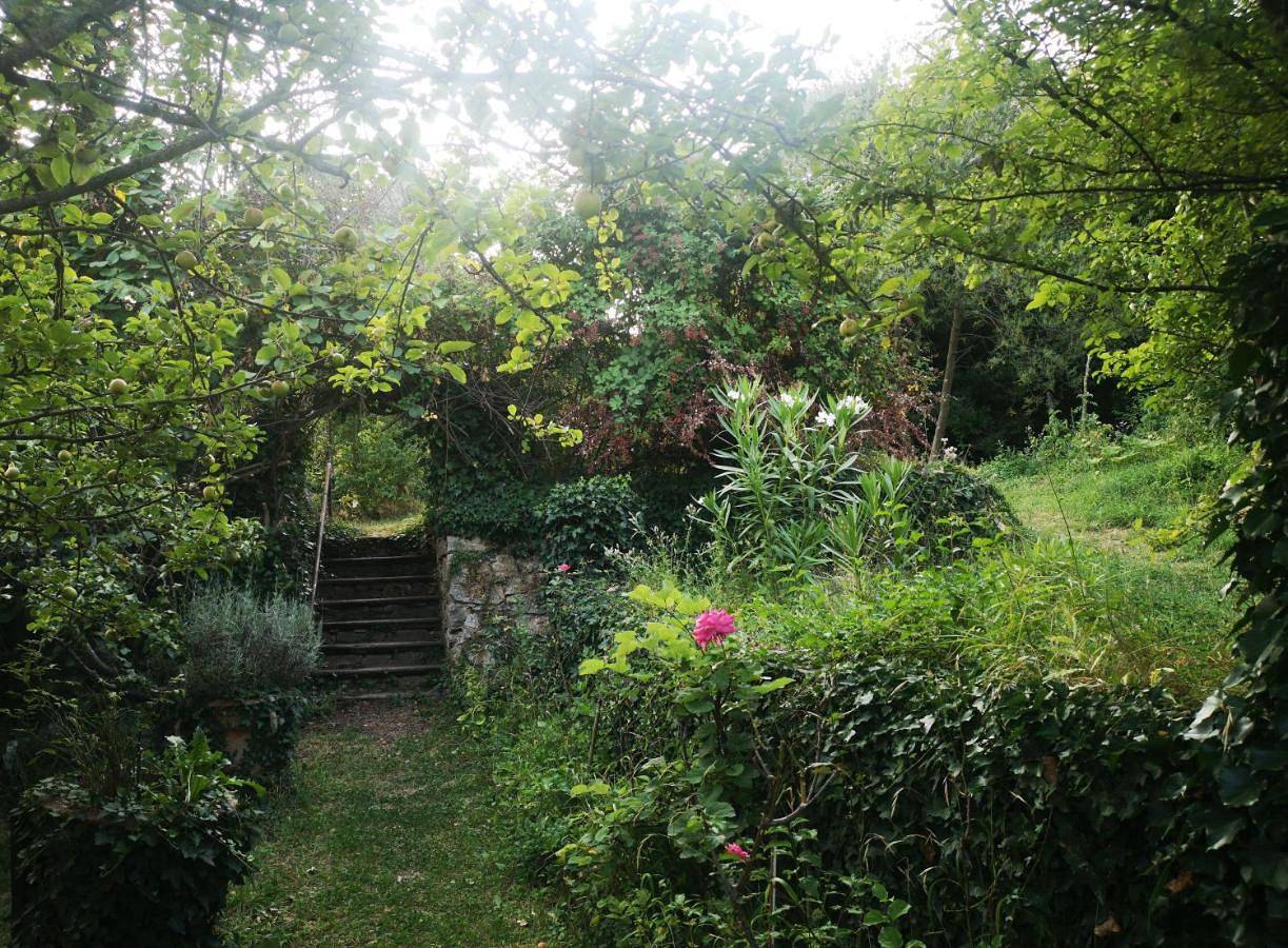 Une chambre au jardin in Saint-Pons-de-Thomières, Région de Béziers