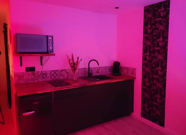 Studio für 2 Personen, mit Whirlpool, mit Haustier in Frankreich - 2