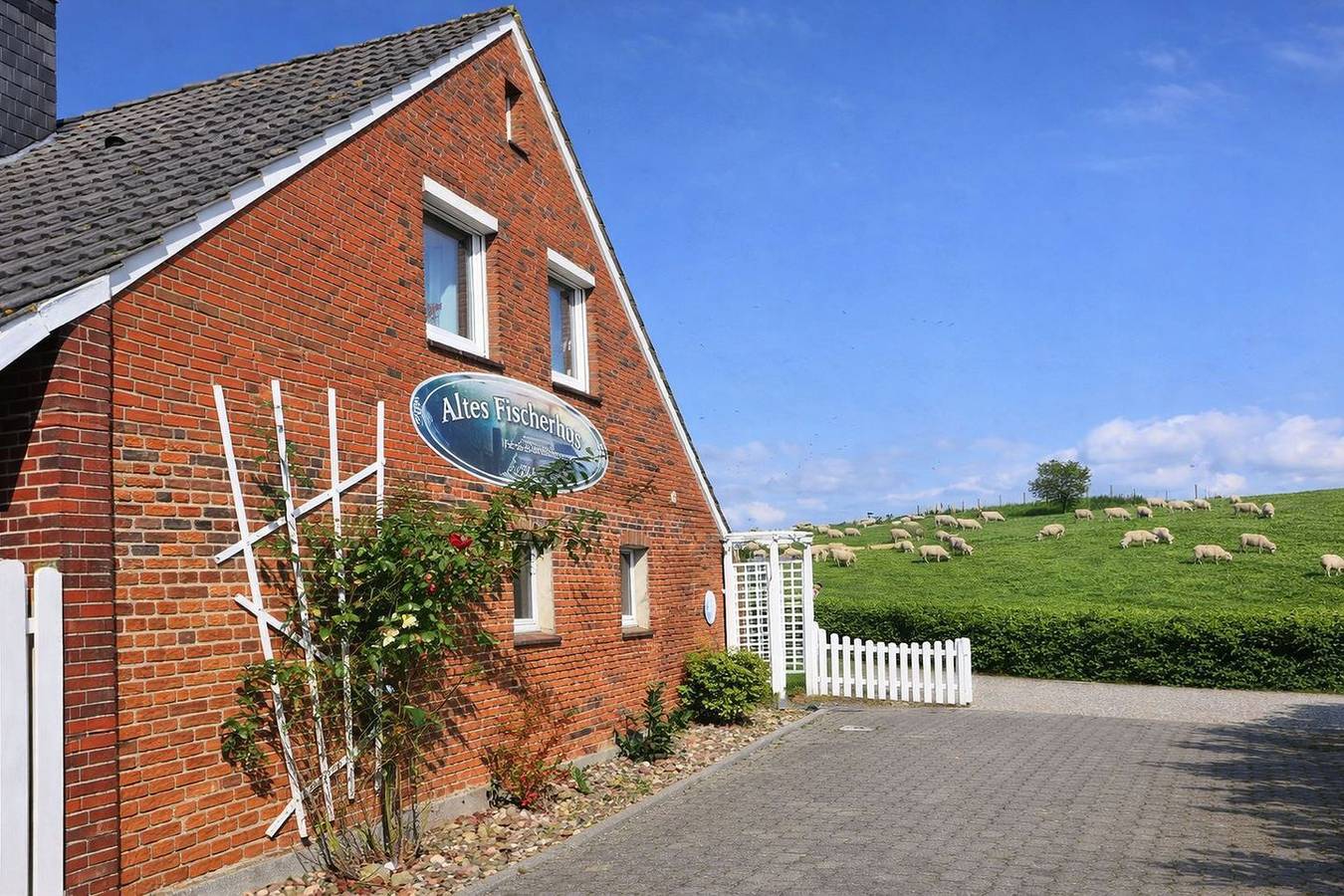 Ganze Wohnung, Ebenerdiges Ferienapartment in Schillig, nahe am Strand mit Wlan in Schillig, Wangerland