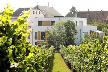 Ferienwohnung für 3 Personen, mit Terrasse und Garten in Edenkoben