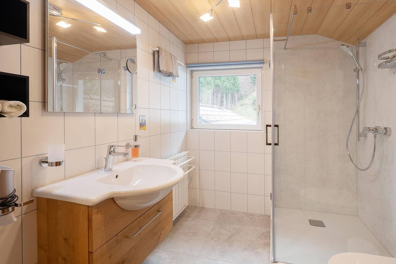 Ganze Ferienwohnung, Apartment Alpina in Sankt Gallenkirch, Verwall