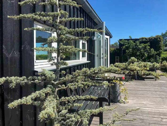 Ferienhaus für 4 Personen, mit Terrasse in Mørkholt - 4