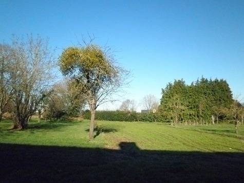 Le Josengel in Trémeur, Región de Dinan