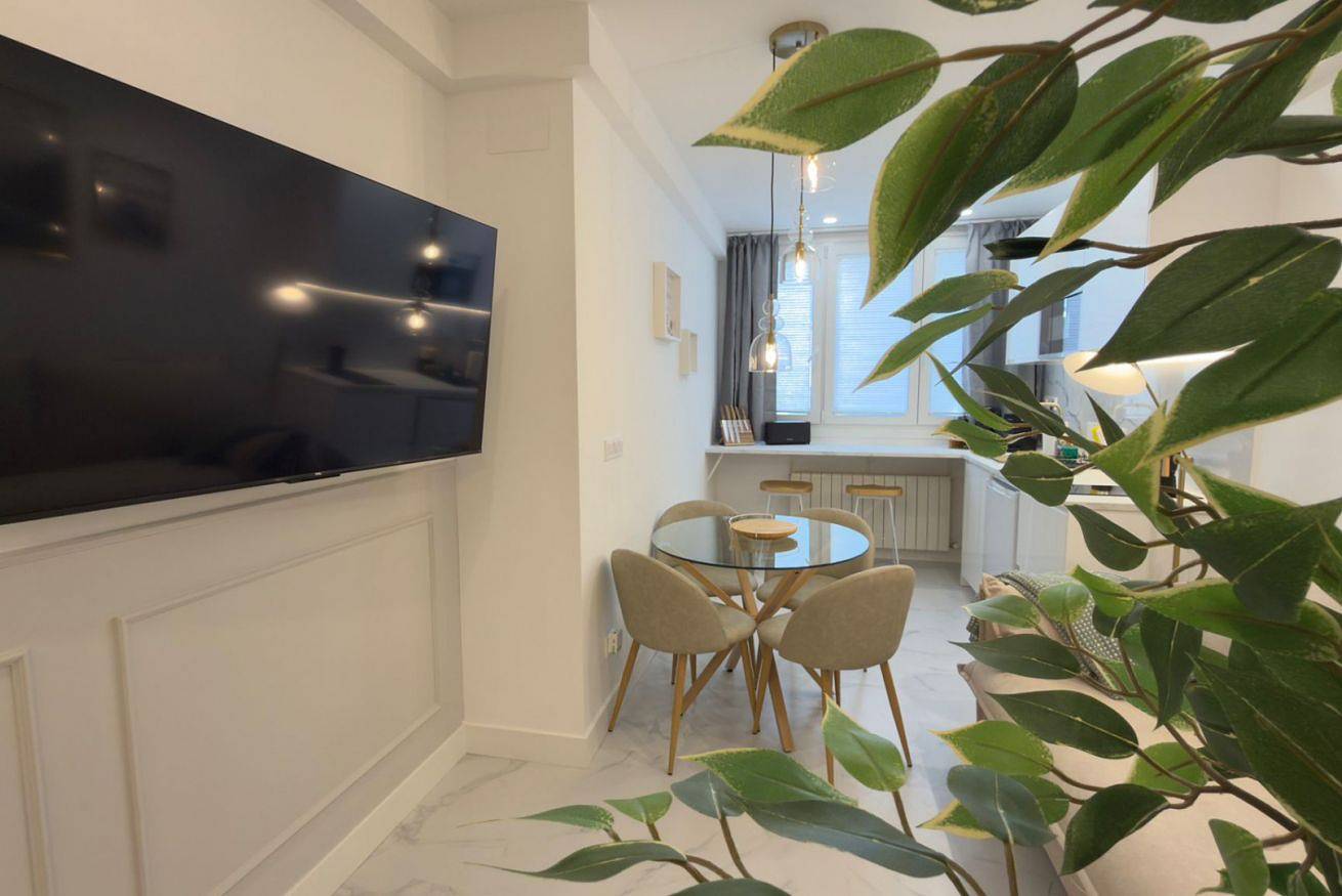 Entire apartment, Viana Apartaments in Bilbao, Bizkaia