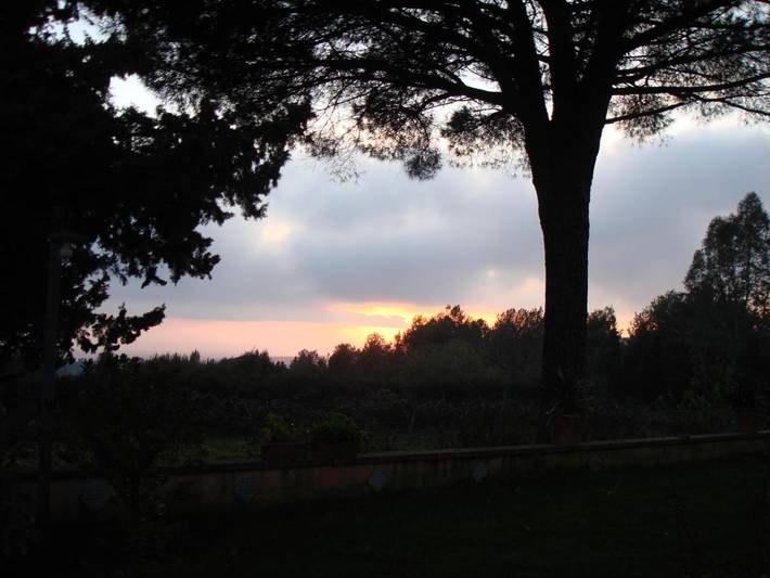 Chambre d’hôte pour 2 personnes, avec vue et jardin, animaux acceptés à Salemi - 4