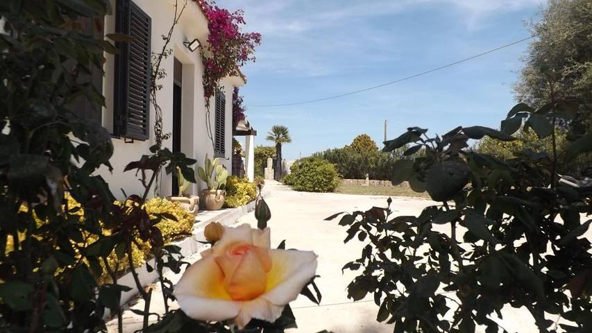 Chambre d’hôte pour 4 personnes, avec vue ainsi que jardin et piscine à Avola - 3