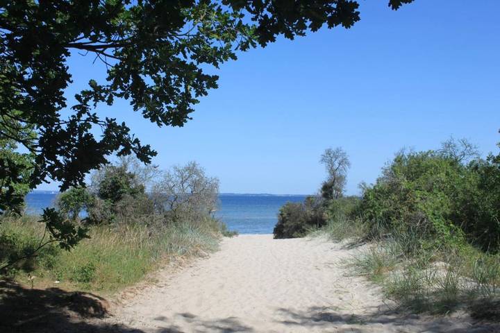 Ferienhaus für 6 Personen, mit Ausblick und Sauna sowie Garten, kinderfreundlich in Dassow - 3
