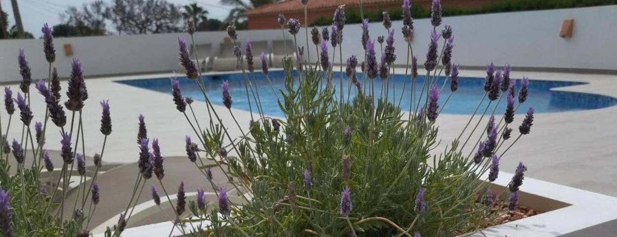 Chalet para 14 personas, con piscina además de jardín y vistas - 1