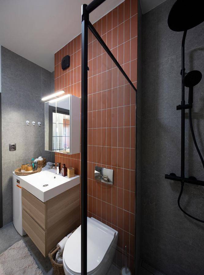 Gîte pour 2 personnes, avec terrasse et vue, animaux acceptés dans Cluj-Napoca - 3