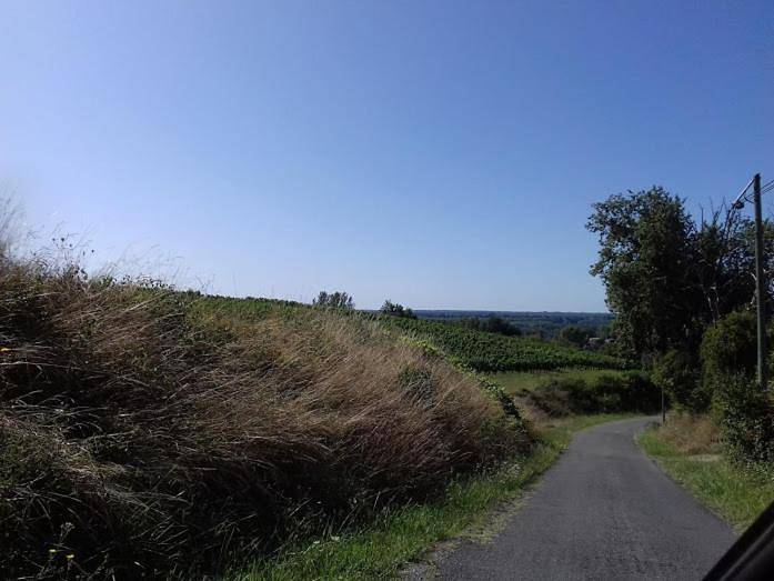 Location de vacances pour 7 personnes, avec jardin et terrasse à Caudrot - 4