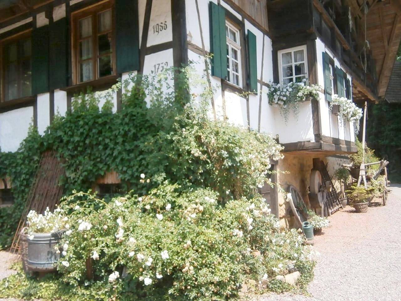 Ganze Wohnung, Vier Jahreszeiten Idyll in Schuttertal, Mittlerer Schwarzwald