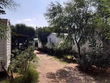 Casa Mobile per 4 Persone in Torre Santa Sabina, Via Francigena, Foto 4