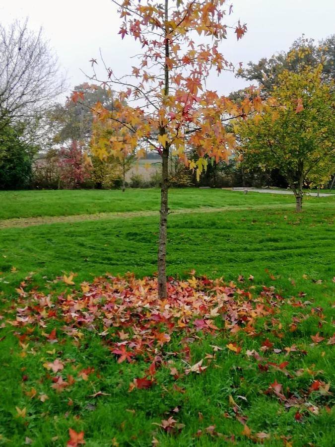 La haye Georget in Feneu, Région d'Angers