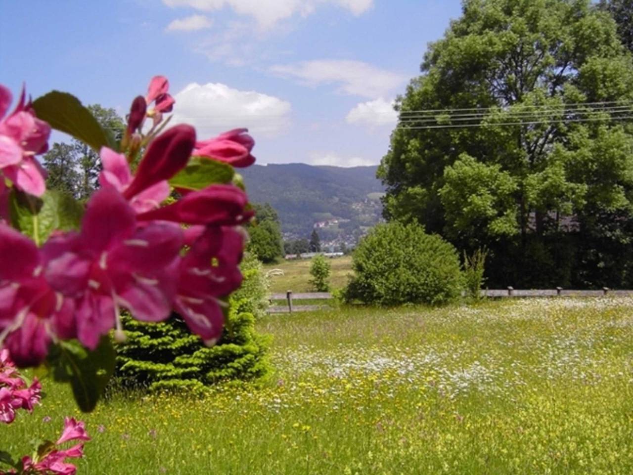 Ganze Ferienwohnung, Haus am Sonnenhang - Wohnung Ii Pergola in Bad Wiessee, Bayerische Alpen