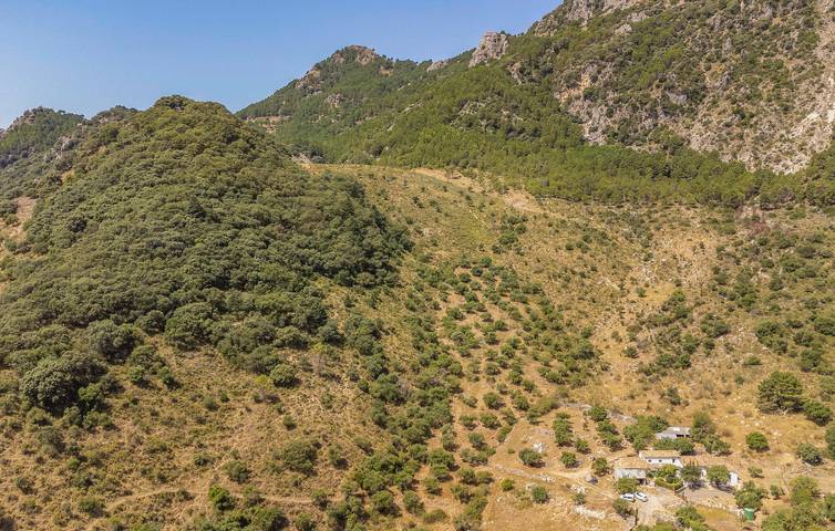 Location de vacances pour 8 personnes, avec terrasse ainsi que piscine et jardin à Grazalema - 2
