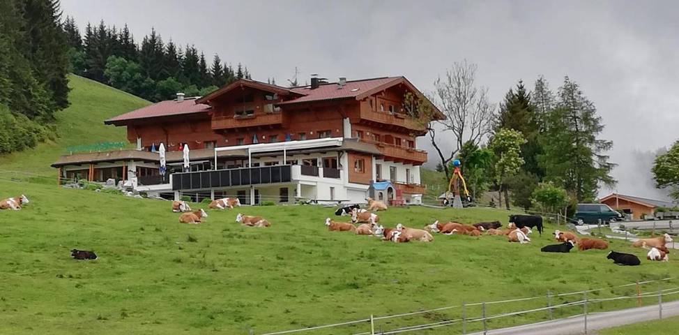 BnB für 5 Personen, mit Ausblick und Garten sowie Sauna in Wildschönau