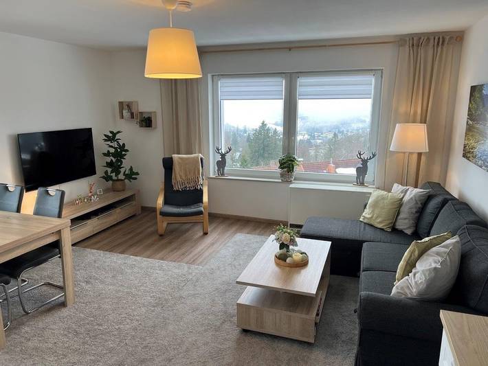 Ganze Ferienwohnung, Panoramablick in Sankt Andreasberg, Braunlage