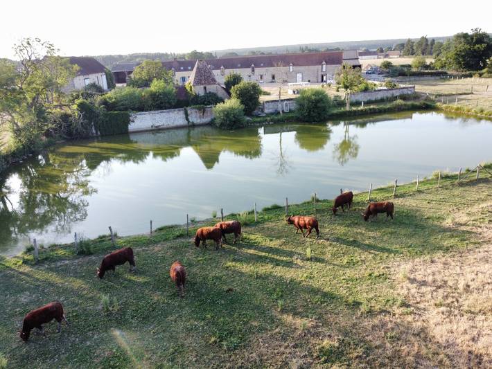 Charming cottage with nature, Wi-Fi, BBQ and private terrace in Belhomert-Guéhouville, Nogent-le-Rotrou region