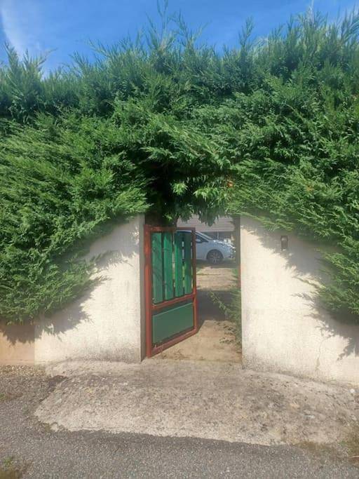 Location de vacances pour 4 personnes, avec terrasse ainsi que vue et jardin à Fleurance - 3