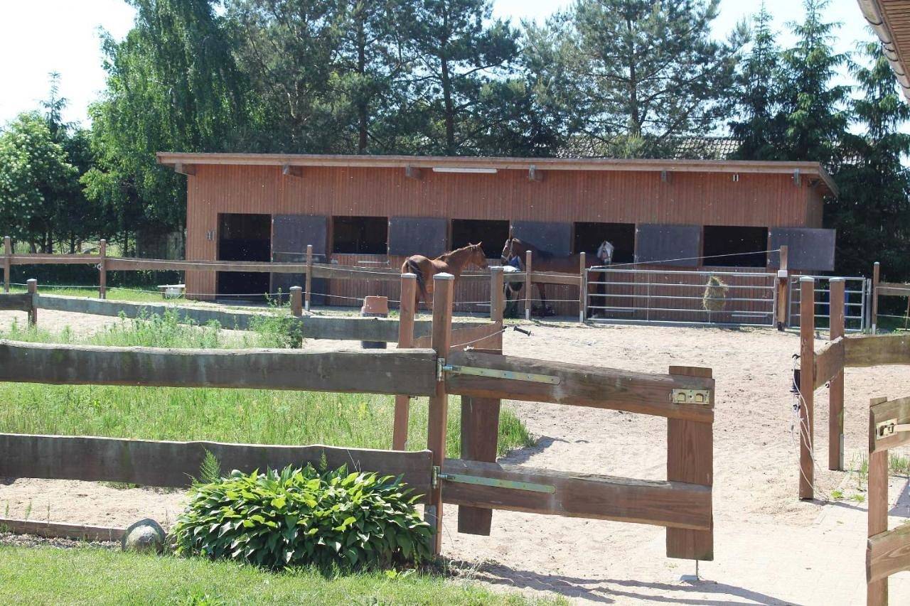 Three-Bedroom House in Sophienhof, Loitz