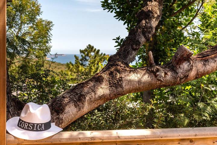 Camping pour 7 personnes à Porto-Vecchio - 4