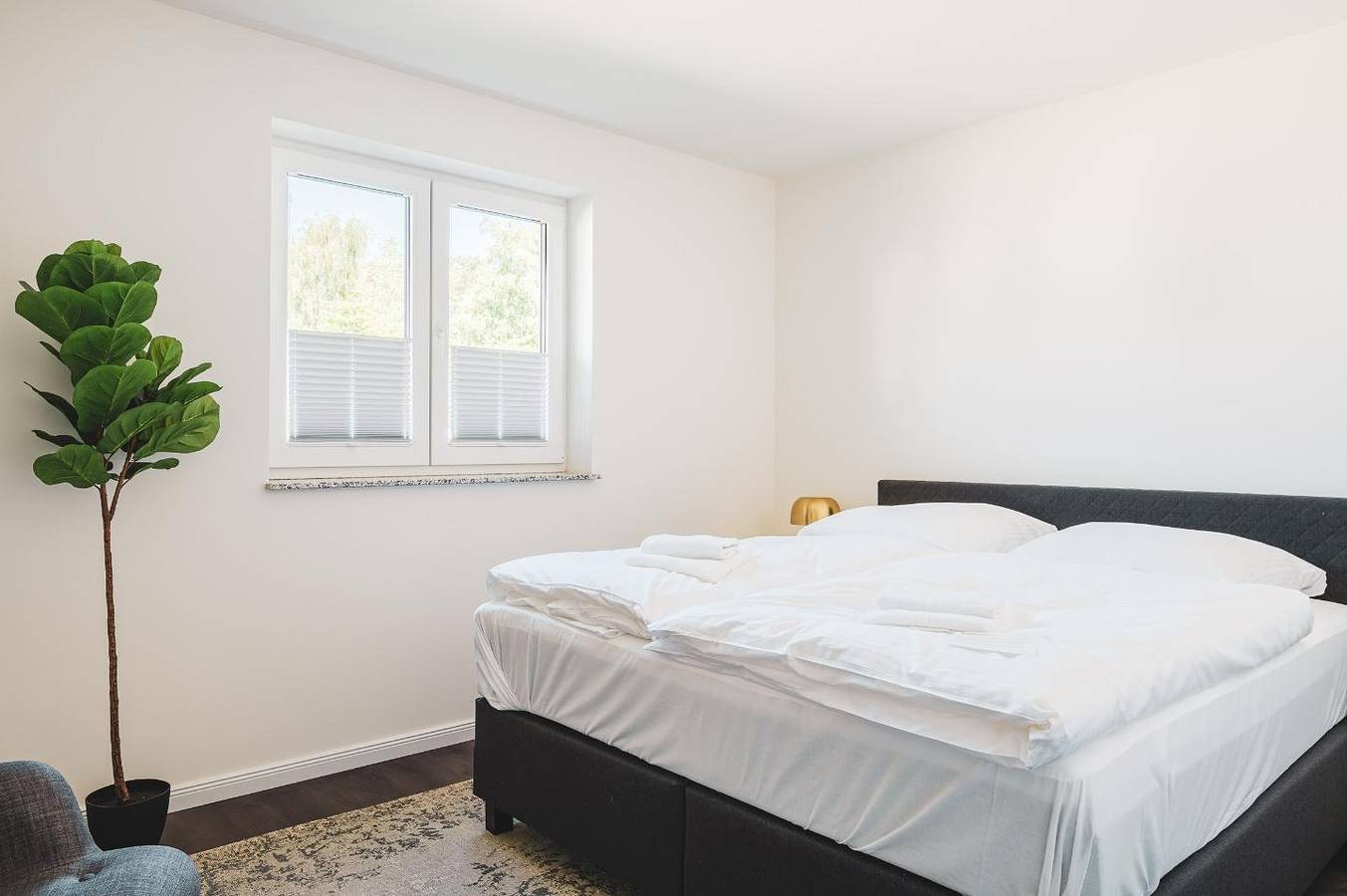 Ganze Wohnung, Moderne Unterkunft in direkter Strandnähe. in Ostseebad Zingst, Zingst