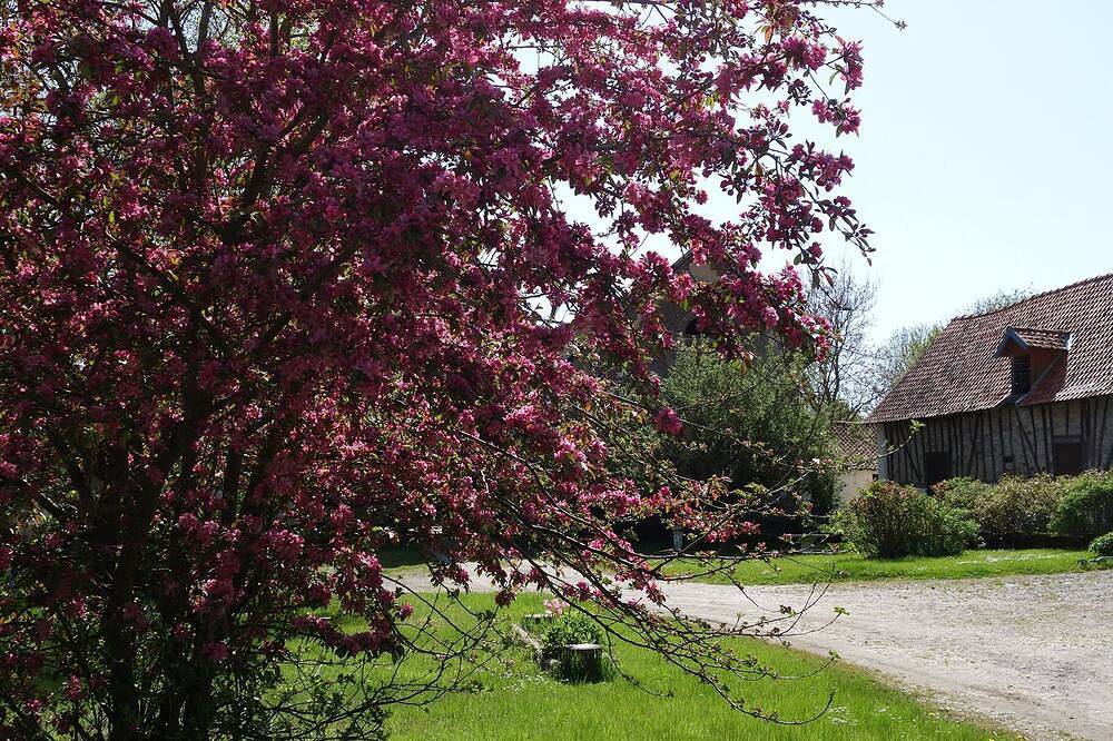 Mer - On the Farm - Sea, River & Pets ... in Tigny-Noyelle, Montreuil region