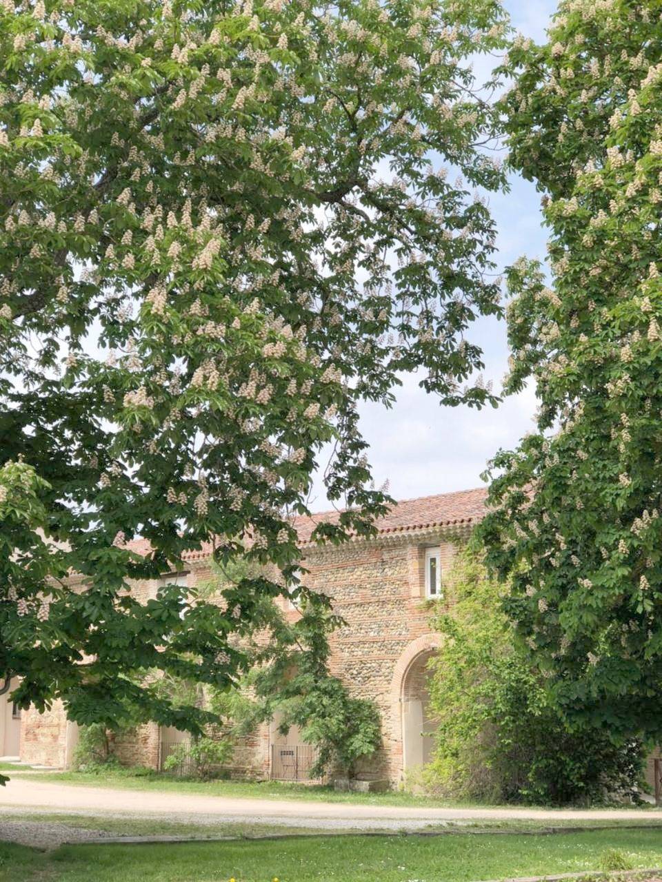 Appartement entier, Appartement de vacances pour 2 personnes avec terrasse in Carbonne, Haute-Garonne