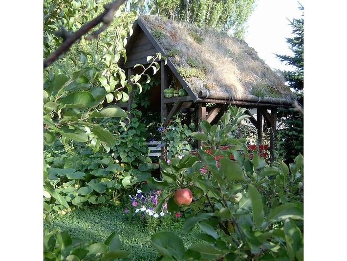 Ferienhaus für 6 Personen, mit Garten und Terrasse, mit Haustier im Zittauer Gebirge - 3