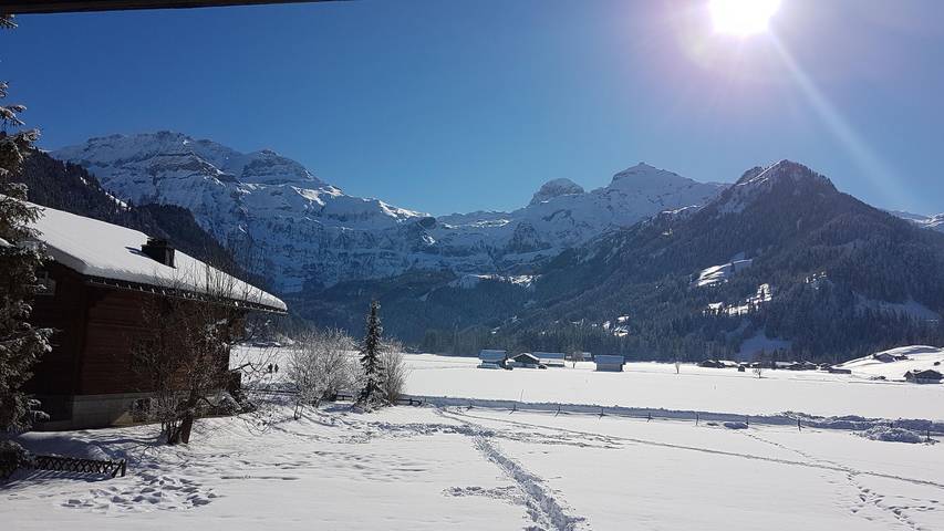 Ferienwohnung für 8 Personen, mit Garten, kinderfreundlich in Lenk im Simmental - 3
