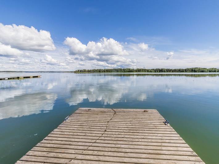 Joutsen in Uusimaa
