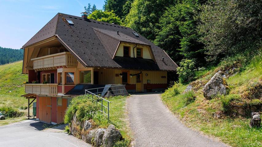 Ferienwohnung für 4 Personen, mit Balkon/Terrasse und Terrasse in Hornberg