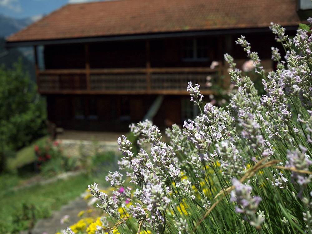Ferienhaus Baschär - 5.5-Zimmerhaus für 7 Personen, 116qm in Rätikon Gebirgsgruppe, Luzein