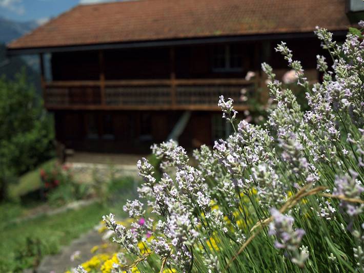 Ferienhaus für 7 Personen, mit Sauna und Garten, kinderfreundlich in Graubünden - 4