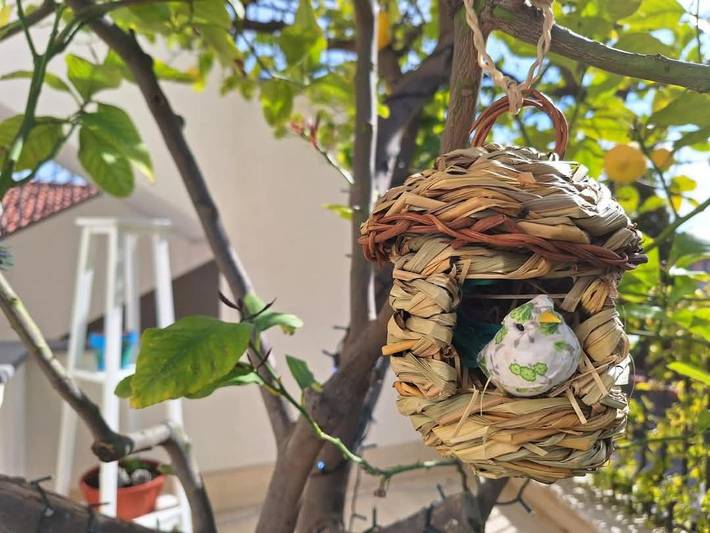 Gîte pour 2 personnes, avec Balcon et Terrasse ainsi que Jardin et Vue à Nicolosi - 2