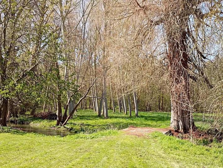 Location de vacances pour 6 personnes à Saint-Rémy-la-Varenne - 2