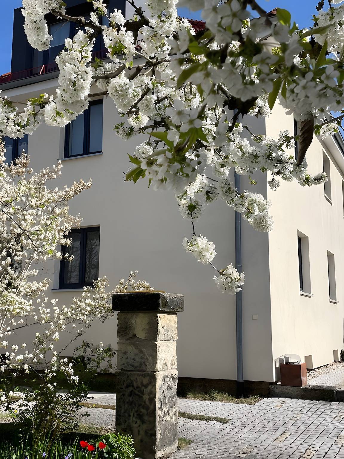Ganze Wohnung, Apartment 'Skyline Suite' mit Wlan in Frankenalb