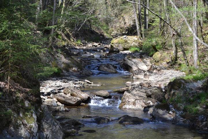 Maison d’hôte pour 2 personnes, avec jardin et vue à Malmedy - 3