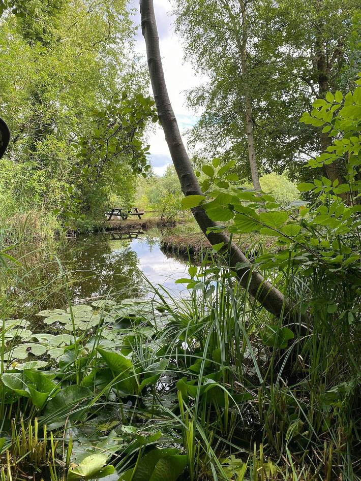 Ferienhaus für 6 Personen, mit Terrasse, kinderfreundlich in Tårup - 2